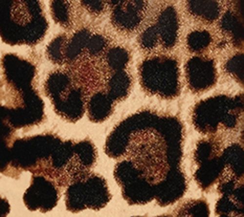 Carla Rockmore Collection Printed Velvet Boat Neck Top — View 9