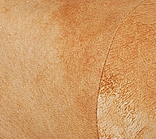 Old Trend Dorado Lambskin Hobo Convertible Backpack — View 10