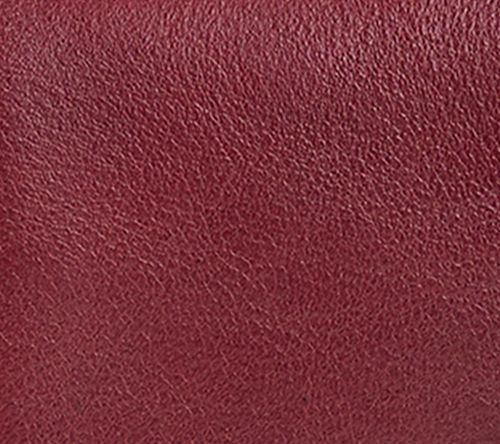 Patricia Nash Leather Dovera Phone Crossbody — View 6