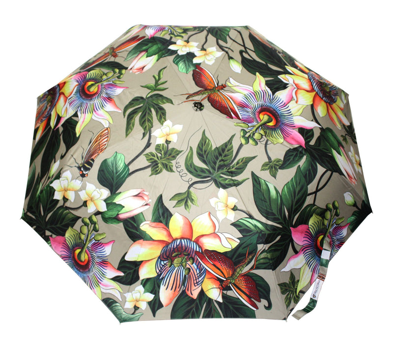 Anuschka Printed Umbrella — View 53