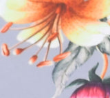 Thumbnail 29