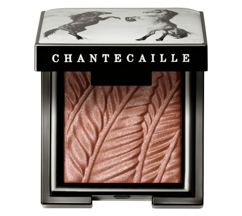 Chantecaille Luminescent Eye Shadow — View 14