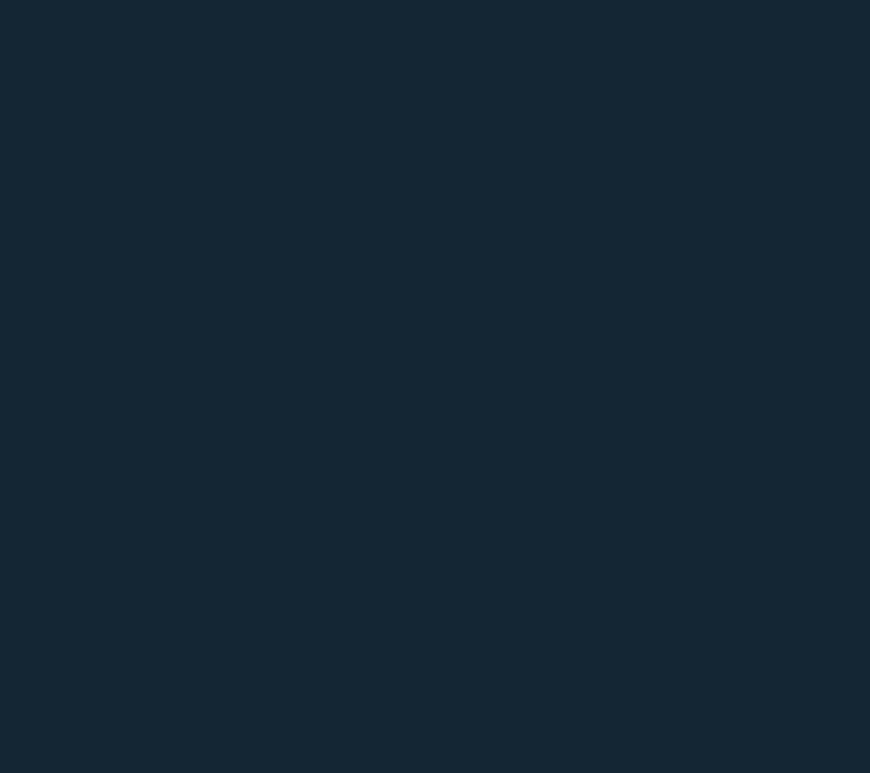Warp & Weft Petite SBN Stretch Utility Staight-Leg Jeans — View 2