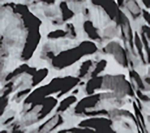 Dennis Basso Regular Printed Duster with Elbow Sleeves — View 9
