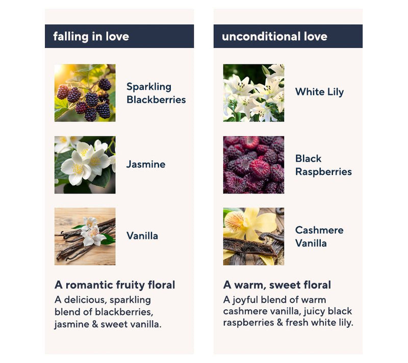 philosophy falling in love & unconditional love 2oz edt duo — View 3