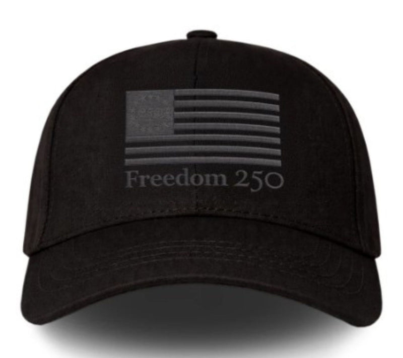 Official Freedom 250 Baseball Hat — View 3