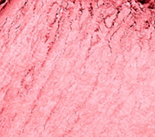 By Terry Tea to Tan Powder Blush — View 9