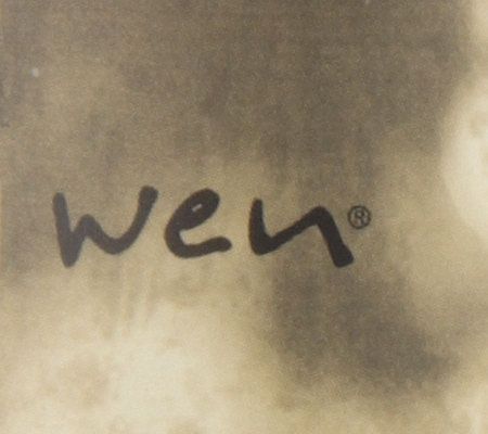 WEN by Chaz Dean Choice of 16 oz Cleansing Conditioner — View 10