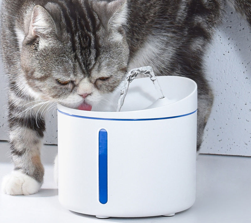 Dogness Wi-Fi Smart Mini Pet Feeder with 1L Mini Water Fountain — View 14