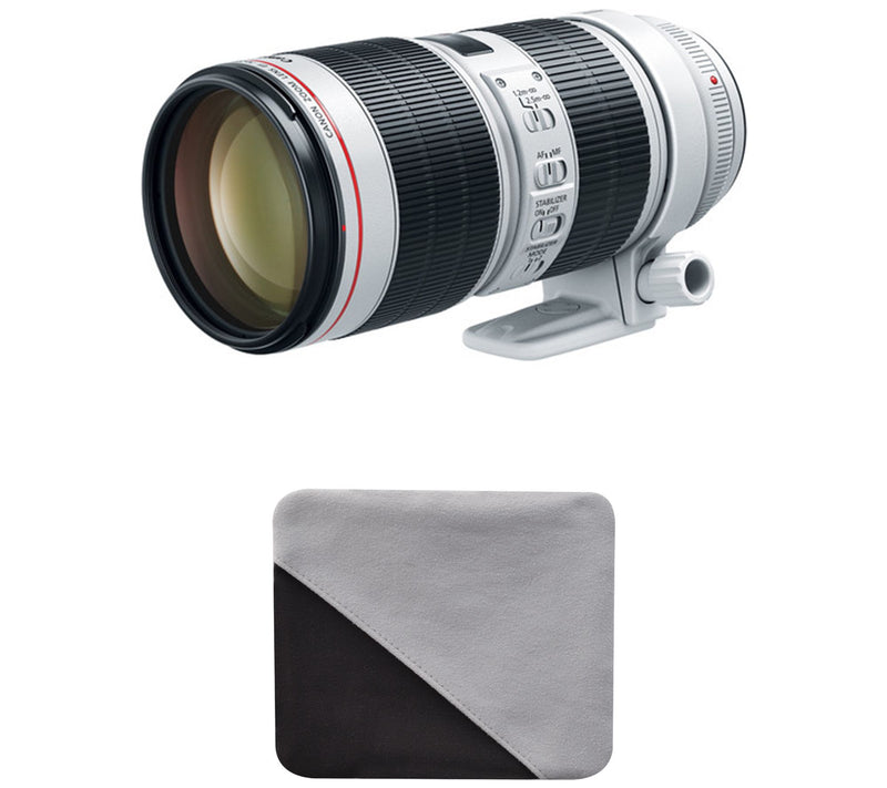 Canon EF 70-200mm f/2.8L IS III USM — View 10