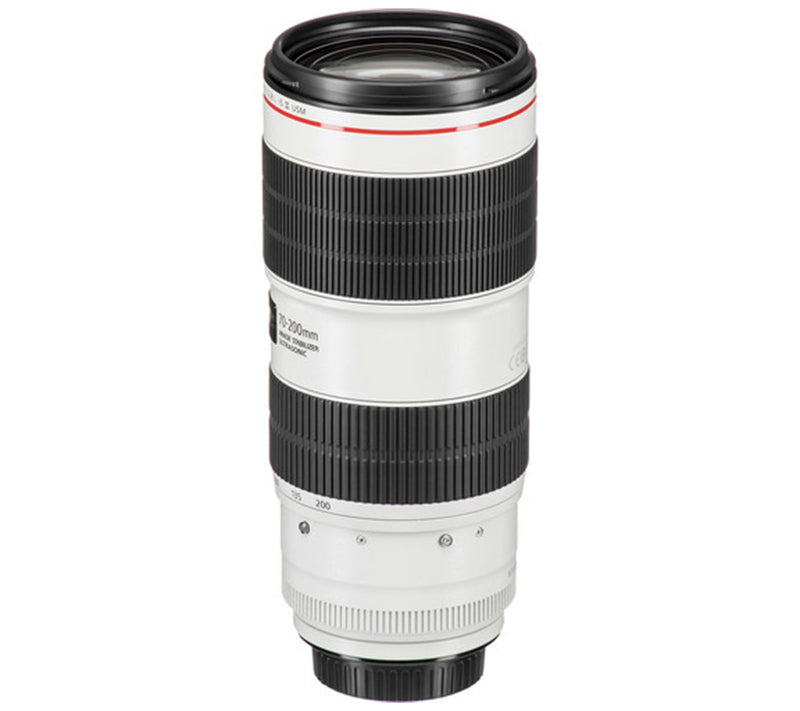 Canon EF 70-200mm f/2.8L IS III USM — View 7