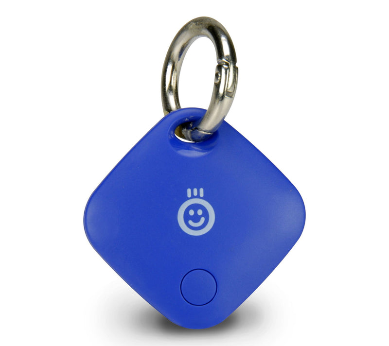 Royal Lost and Found Tracker — View 6