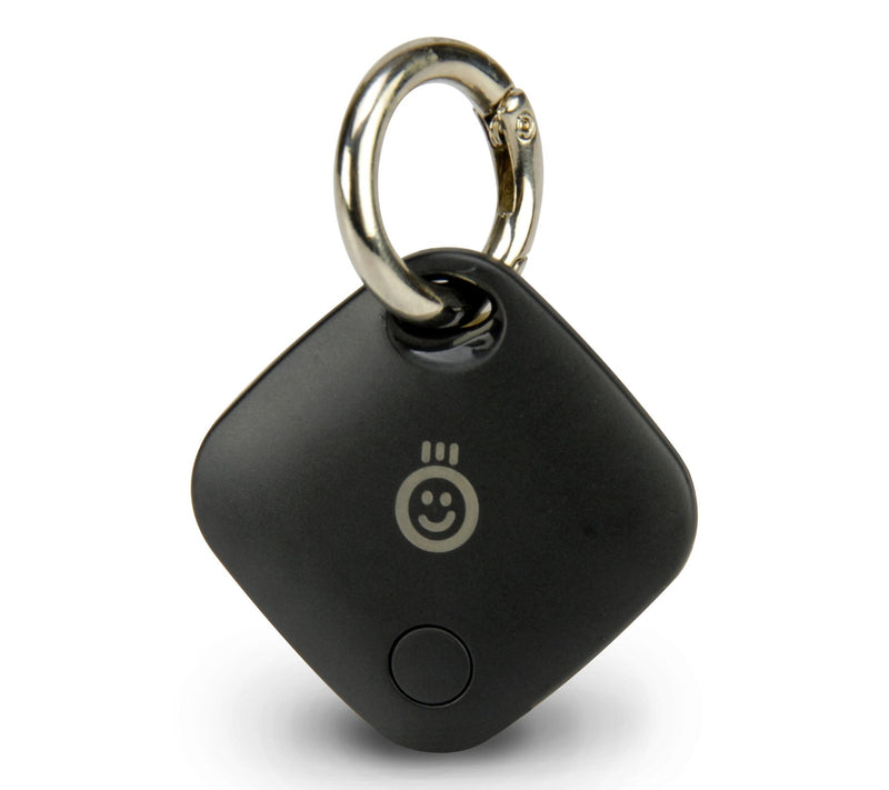 Royal Lost and Found Tracker — View 4