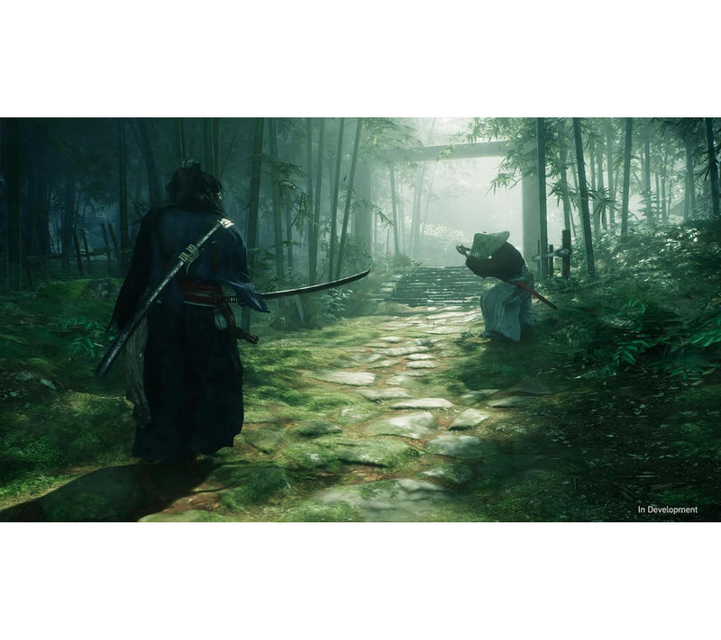 PlayStation 5 - Rise of the Ronin — View 2