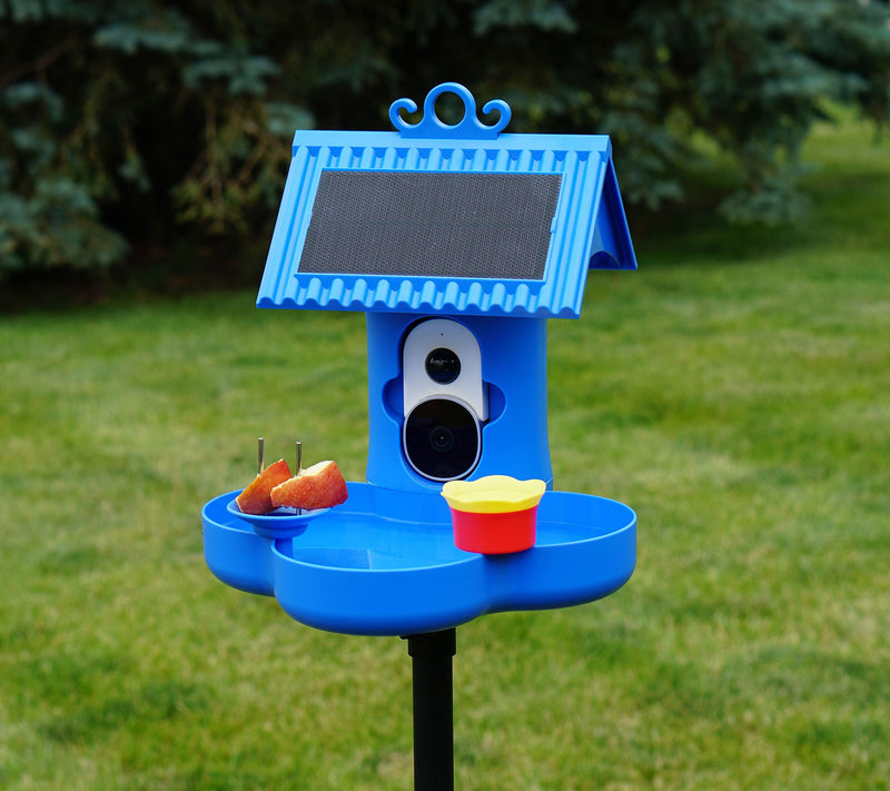 Hello Birdie Smart Bird Feeder with Solar Roof and Bird Bath — View 8