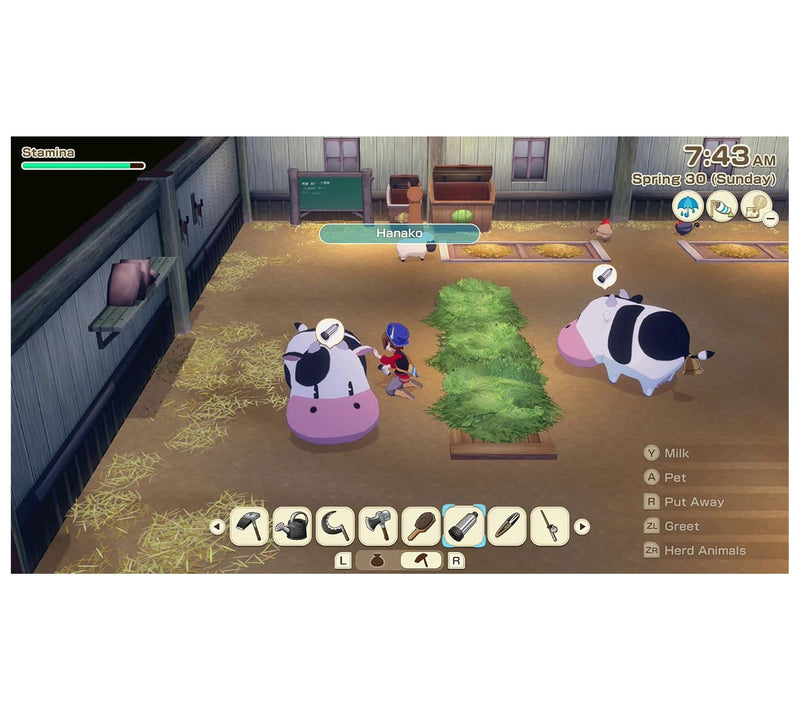 Story of Seasons: Grand Bazaar - Nintendo Switch — View 5