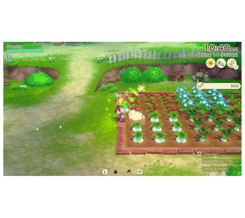 Story of Seasons: Grand Bazaar - Nintendo Switch — View 6