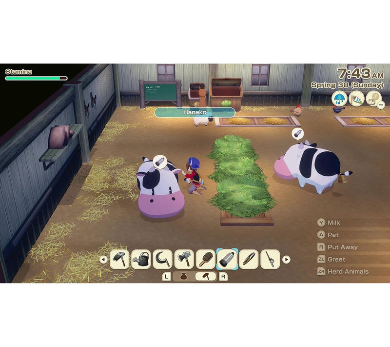 Story Of Seasons: Grand Bazaar - Nintendo Switch 2 — View 4