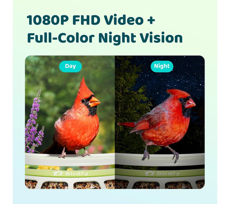 Birdfy Smart Bird Feeder with Camera — View 3