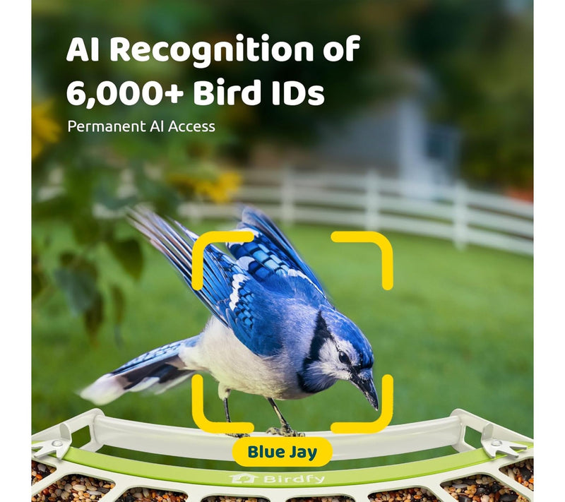 Birdfy Smart Bird Feeder with Camera — View 5