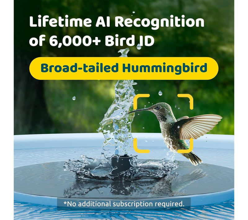 Birdfy Bird Bath Pro AI with Camera Solar Powered — View 3