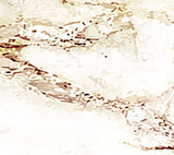 Thumbnail 20