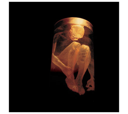 Alice in Chains: Nothing Safe: Best of - CD