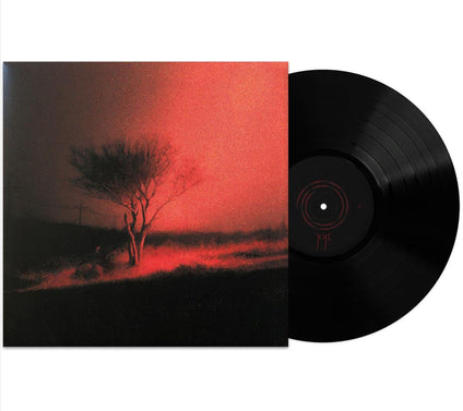 Joji: Piss In The Wind - Vinyl