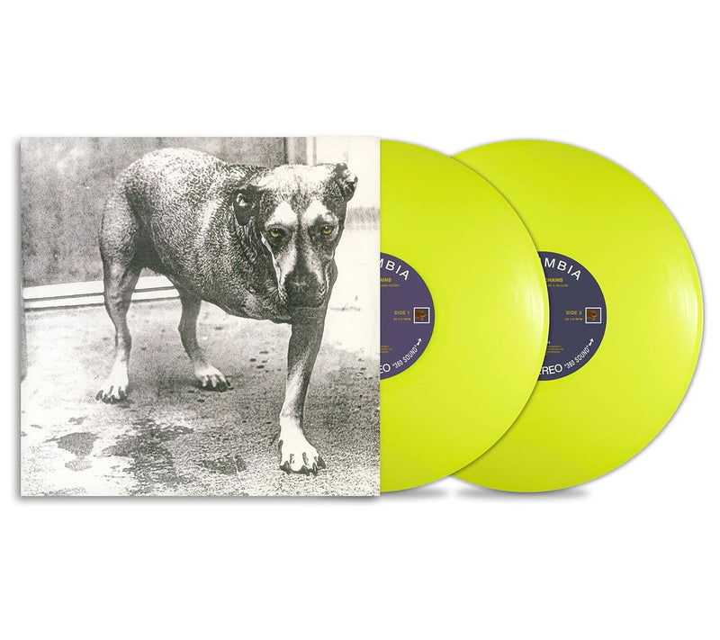 Alice In Chains - Vinyl — View 2