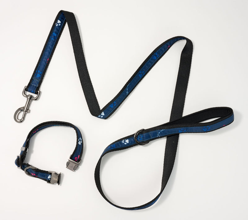 Lug Pet Collar and Leash Set - Fetch — View 9