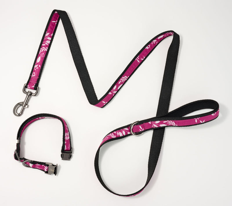 Lug Pet Collar and Leash Set - Fetch — View 11