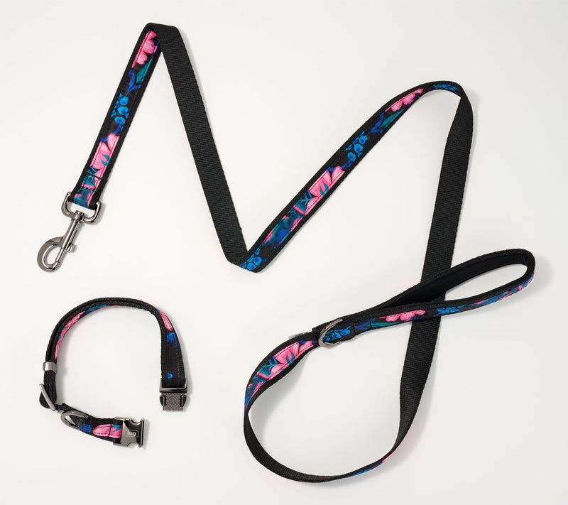 Lug Pet Collar and Leash Set - Fetch — View 12