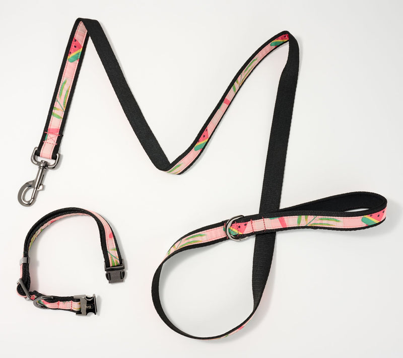 Lug Pet Collar and Leash Set - Fetch — View 13