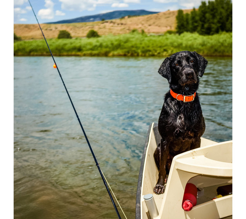 Wakeman Telescopic Carbon Fiber 5.5' Fishing Pole Ambidextrous — View 8