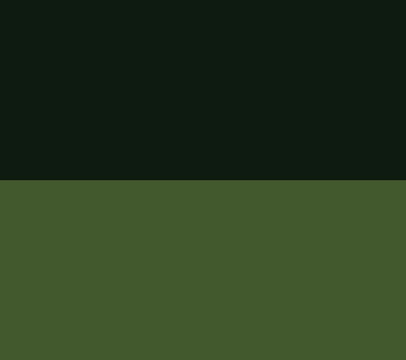 TF Publishing Green Forest Medium Weekly Monthly Planner — View 2