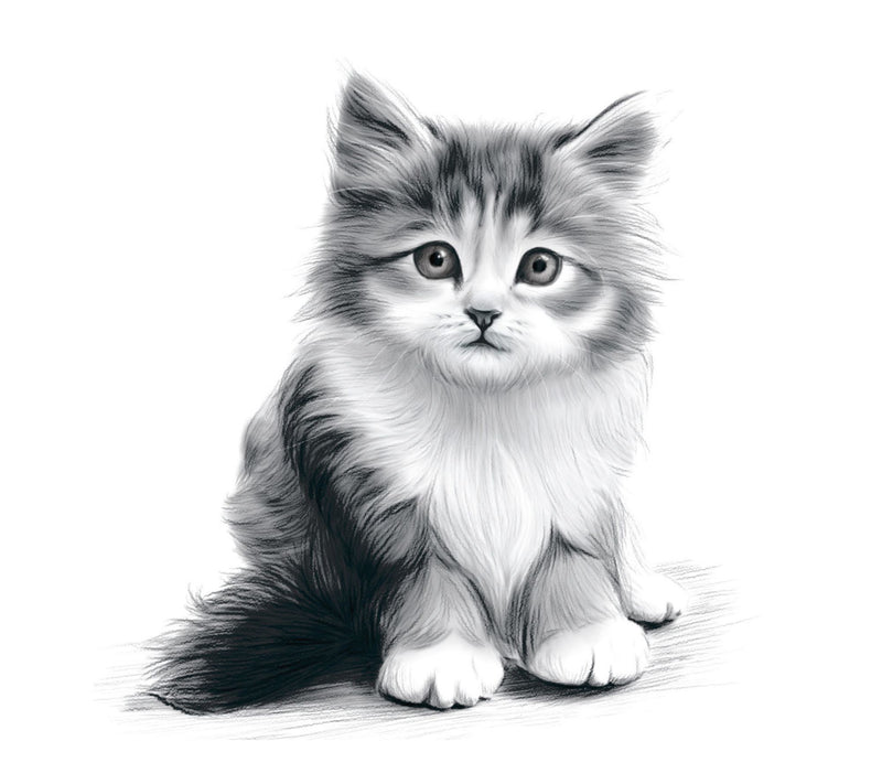 Art Maker Drawing Techniques Kit — View 6