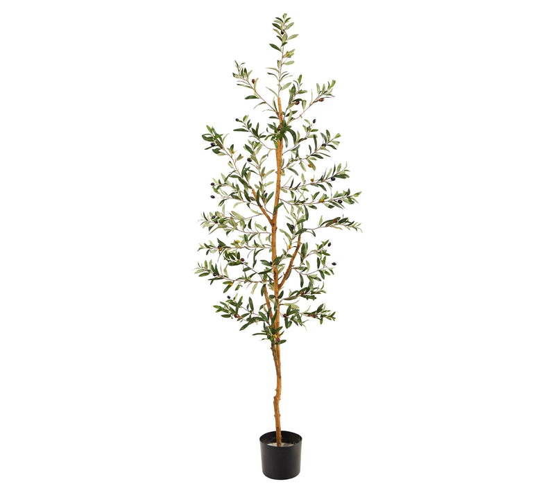 Olive Artificial Tree 4.5' by Nearly Natural — View 3