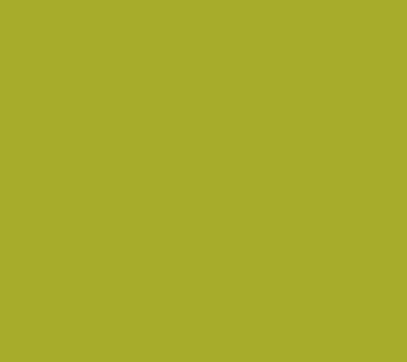 Northlight 5 Green Grape Cluster Patio String Lght Set - 6' — View 2