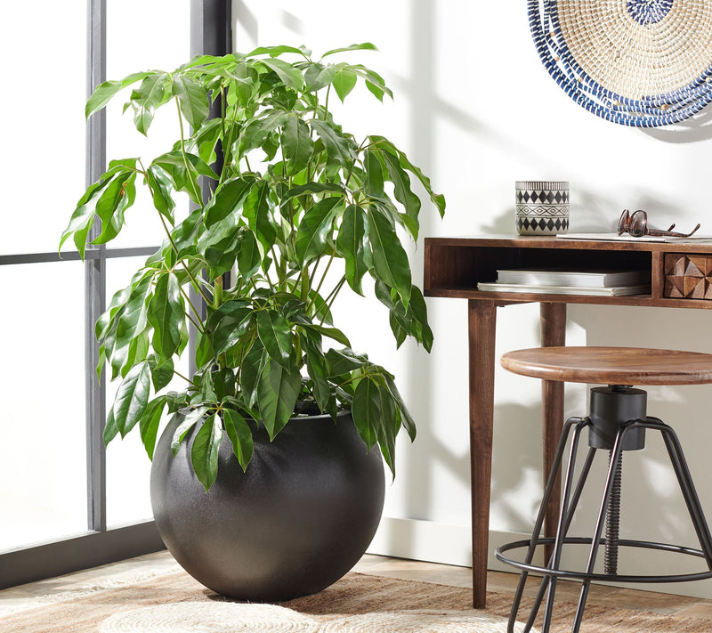 Safavieh Kenslia Planter — View 6