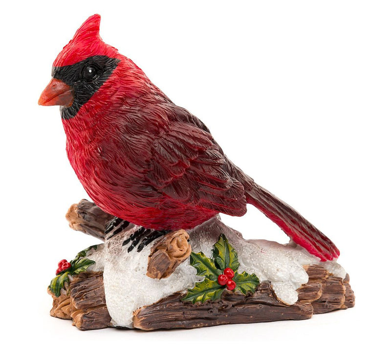Potty Feet Full Color Red Cardinal Bird (Set of3) — View 4