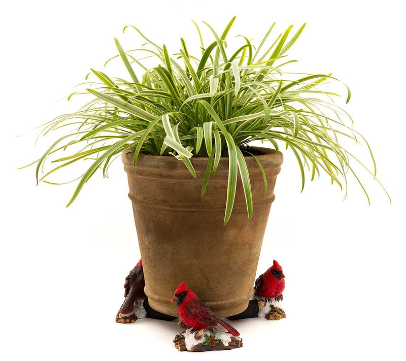 Potty Feet Full Color Red Cardinal Bird (Set of3) — View 9