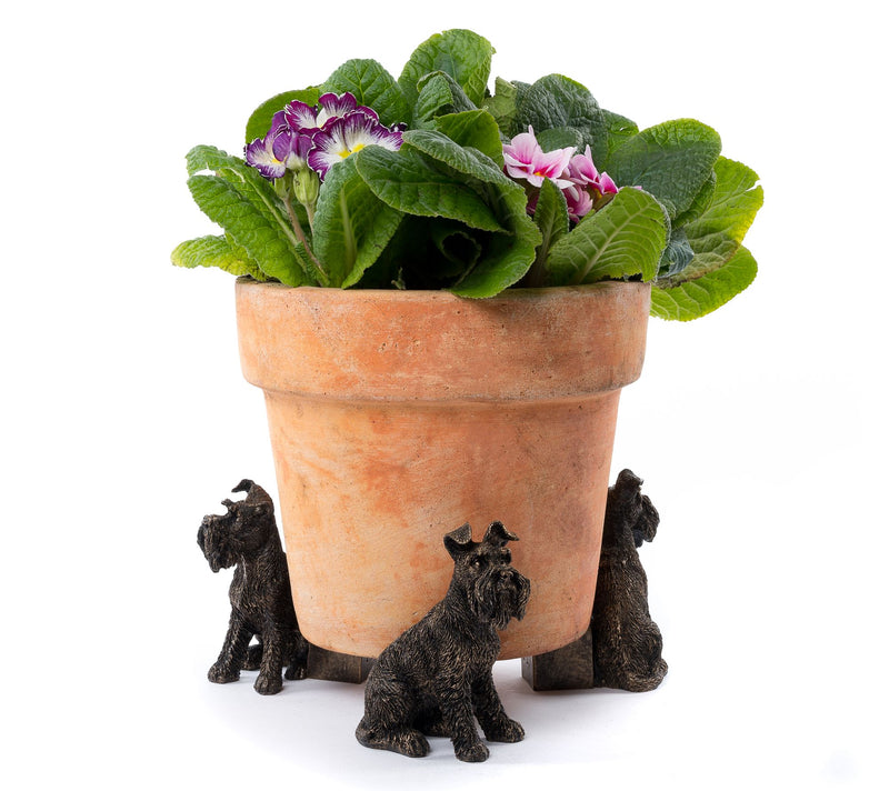 Potty Feet S/3 Antique Bronze Schnauzer — View 6