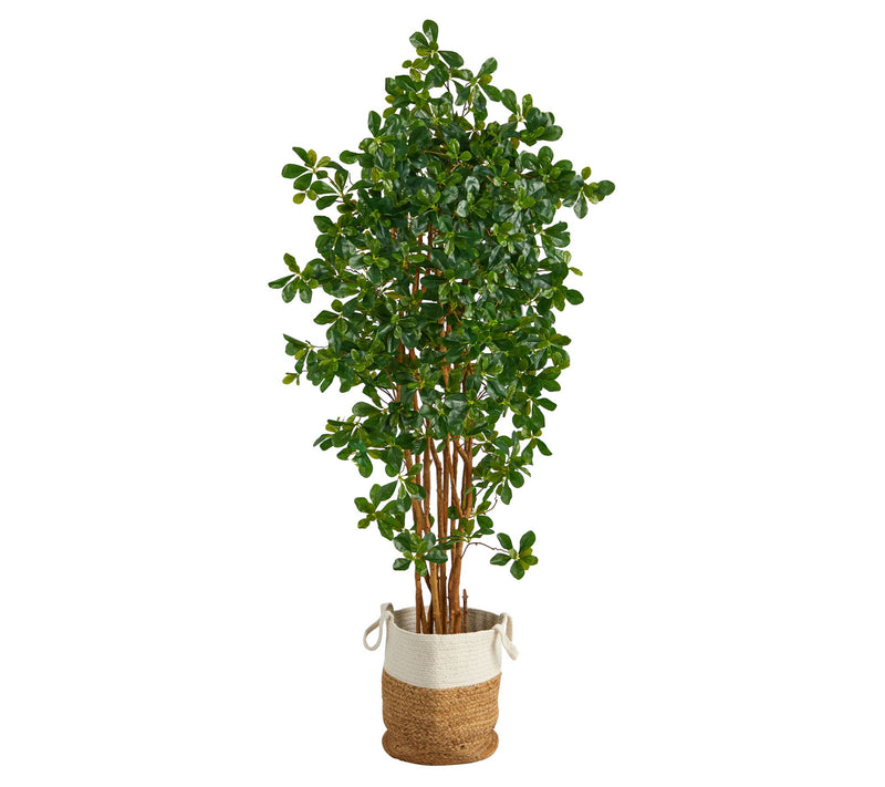 6' Black Olive in Natural Jute & Ctn Planter by Nearly Natural — View 3
