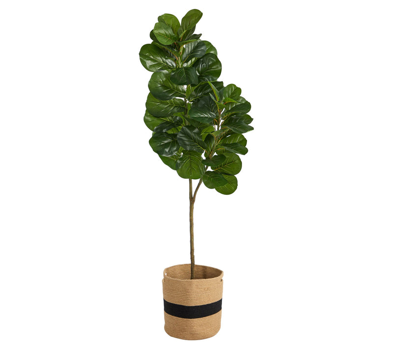 5.5' Fiddle Leaf Fig Natural Cotton Planter byy Natural — View 3