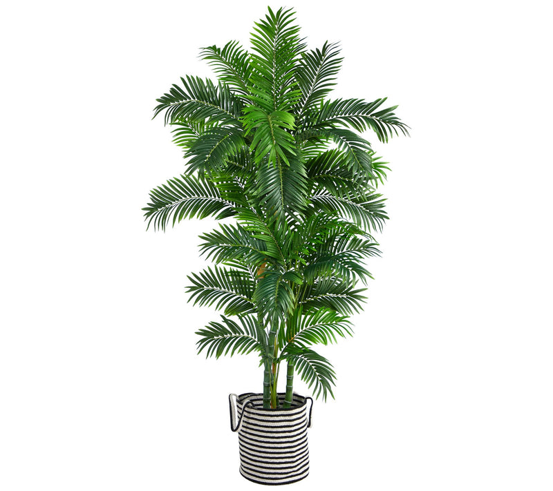6' Curvy Parlor Palm Tree in Planter by Nearlyatural — Main view