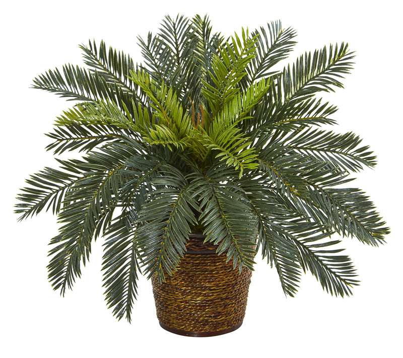 15in.  Cycas Artificial Plant in Basket — Main view