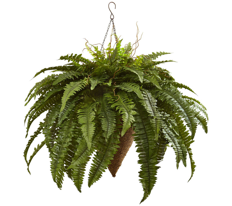 Giant Boston Fern with Cone Hanging Basket — View 3