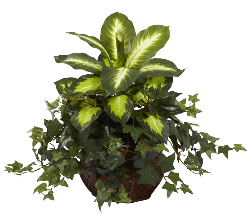 Dieffenbachia & Ivy w/Decorative Planter — View 3