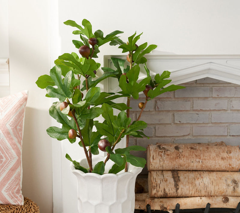 House No.9 by Home Love Set of 3 Faux Fig Stems — Main view