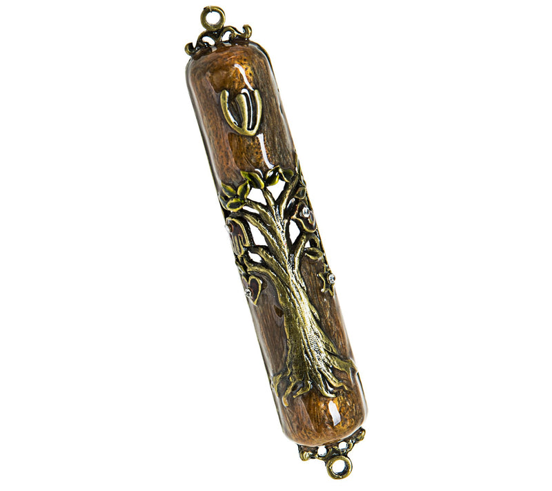 Copa Judaica Mezuzah Case Tree of Life — Main view